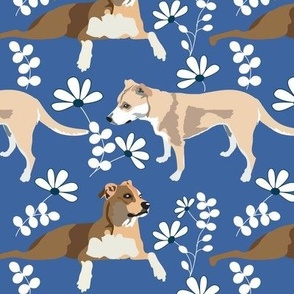 Cattle Dog with white flowers and blue background