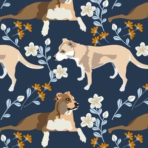 Cattle Dog with flowers and dark blue
