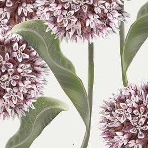 [Large] Milkweed Flower Diagonal Low Saturation on cream