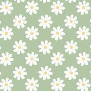 1" Spring Daisies - Half Drop - Green and White