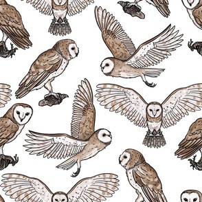 (LARGE) Barn Owl Naturalistic Illustrations, Black  Hand Drawn Line Art and Watercolor Effects 