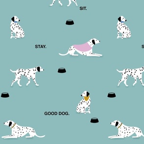 Dalmatian dogs