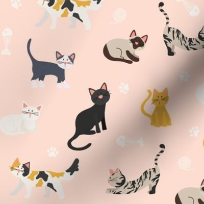 Cute Illustrated Cats on Pink