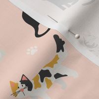 Cute Illustrated Cats on Pink