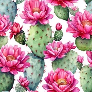 CACTUS PINK FLOWERS 13 AQUA BRIGHT PINK SUMMER ON WHITE FLWRHT