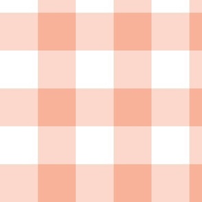 Gingham peach - medium-large scale