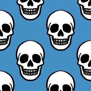 (LARGE) Simple Skull Sky Blue Background