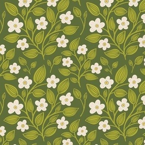 (S) Blackberry Blossom - hand drawn modern floral damask with stylised wild brambles - cream on green