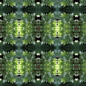 Green Succulents_1290