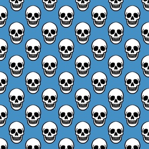 (SMALL) Simple Skull Sky Blue Background