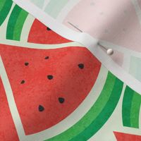 Watermelon Slices with texture