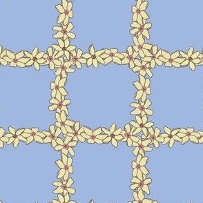 Daffodils in a square pattern 