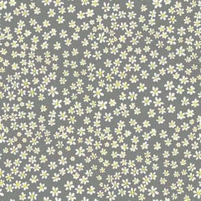 (XS) Tiny micro quilting floral - small white flowers on Pewter gray - Petal Signature Cotton Solids coordinate