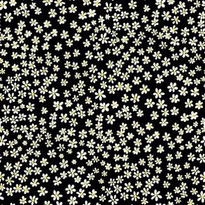 XS Tiny micro quilting floral - small white flowers on Black - Petal Signature Cotton Solids coordinate