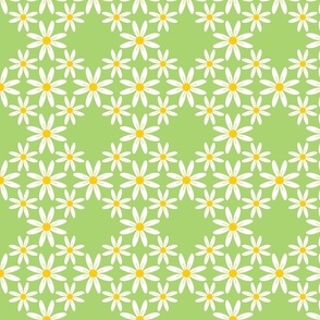 Retro Daisies Lattice Design