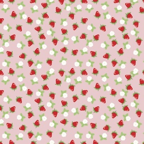 Small Strawberries and Blooms Girl Design Summer Clothing Kitchen Decor 