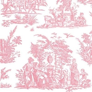 Marseilles Toile ~ Sloane Pink on White ~ Large