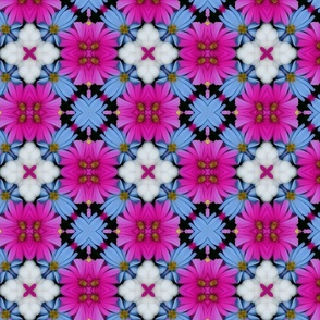 Fuchsia Blue And White Pattern