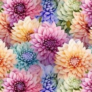 Small Colorful Pastel Dahlia Flowers