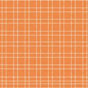 Textured Off White Grid on Orange | Lines on Orange Background | Peach Fuzz with Checkerboard Blocks In Blocks