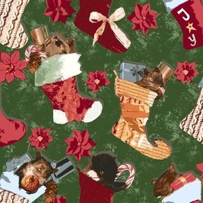 Squirrels Snooze Fest in Christmas Stockings