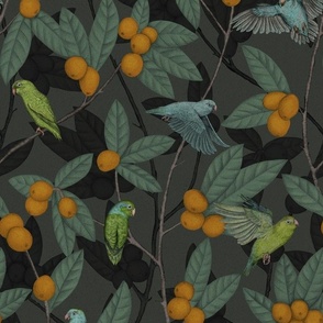 Green & Turquoise Parrotlets with Orange Loquats