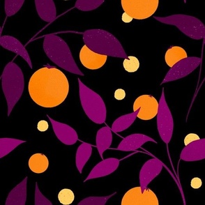 Orange and purple citrus fruits and leave - black background