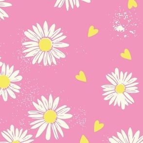 daisies pink