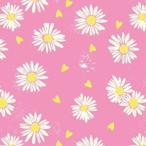 daisies pink, small