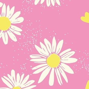 daisies pink, big