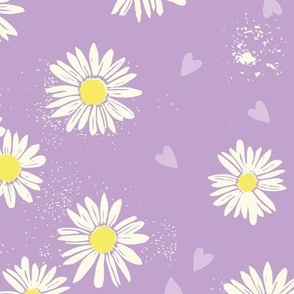 daisies purple