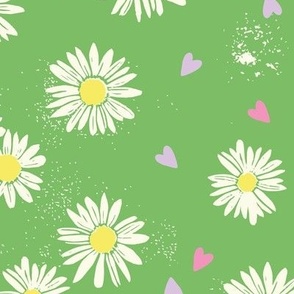 daisies greeen