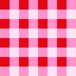 Red and pink_1 inch gingham