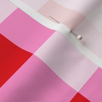 Red and pink_2 inch gingham