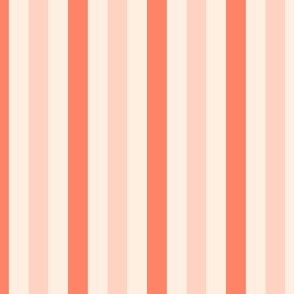 Bold Vertical Summer Awning Beach stripe in red and pink
