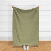 TEXTURE 24 olive green