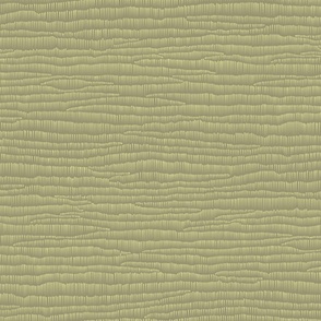 TEXTURE 24 olive green