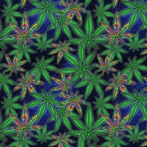 Cannabis Fields Forever