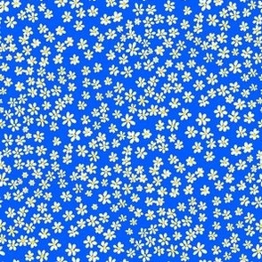 (XS) Tiny micro quilting floral - small white flowers on Cobalt blue  - Petal Signature Cotton Solids coordinate