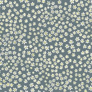 (XS) Tiny micro quilting floral - small white flowers on Slate gray  - Petal Signature Cotton Solids coordinate