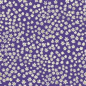 (XS) Tiny micro quilting floral - small white flowers on Grape purple - Petal Signature Cotton Solids coordinate