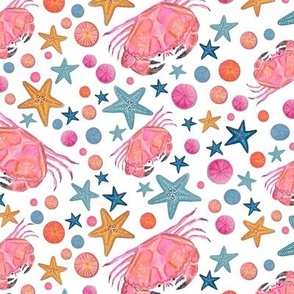 Pink crabs and starfish with sea anenomes in neon colors