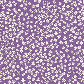 (XS) Tiny micro quilting floral - small white flowers on Orchid purple - Petal Signature Cotton Solids coordinate
