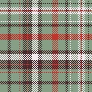 Plaid (M) in green - red - marsala red - white