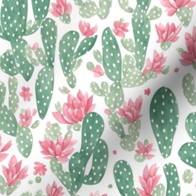 Pink Cactus Flower Pattern