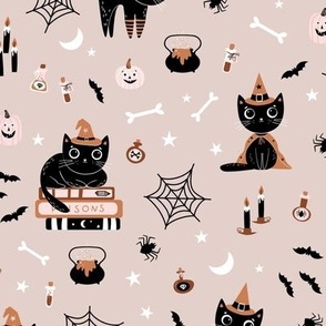 Cute black Halloween cats in witch hats on warm grey
