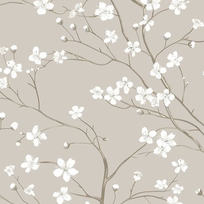 Dogwood Tree Blossoms  - Agreeable Gray  Wallpaper