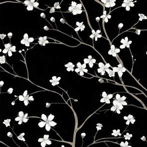 Dogwood Tree Blossoms  - Black Wallpaper