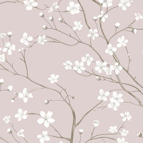 Dogwood Tree Blossoms  - Blush Pink Wallpaper
