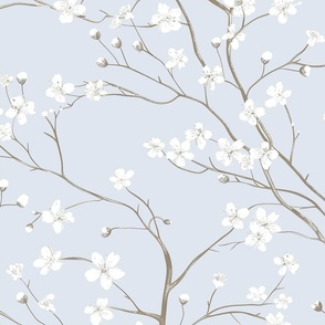 Dogwood Tree Blossoms  - Pale Blue Wallpaper